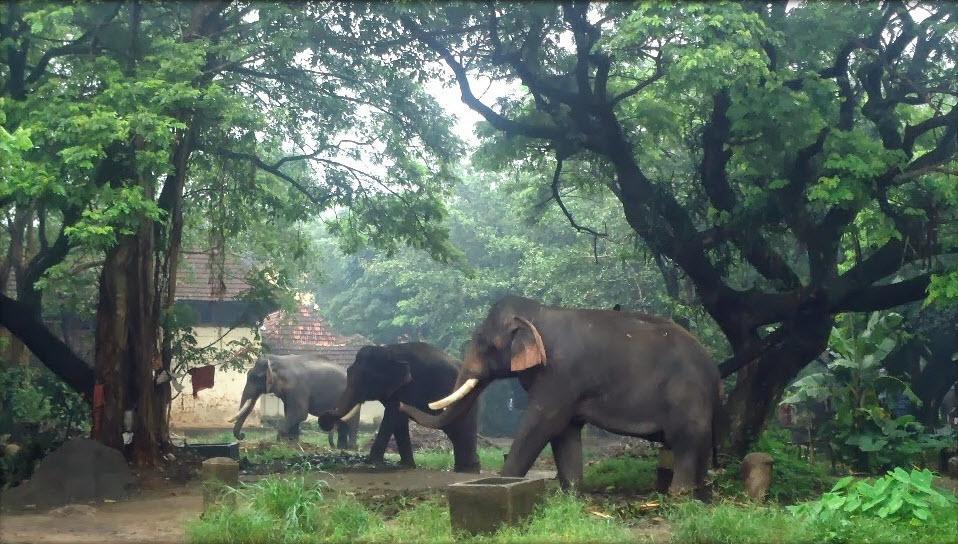 Luxury Villas Of Guruvayur Luaran gambar
